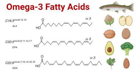 omega 3 fatty acids suppliers india